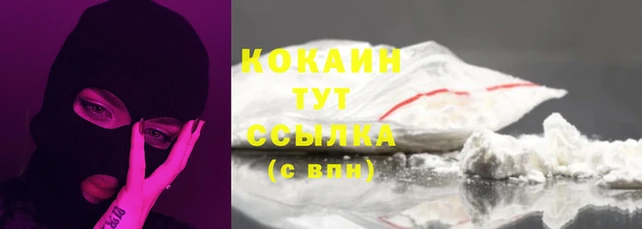 СК Гусь-Хрустальный